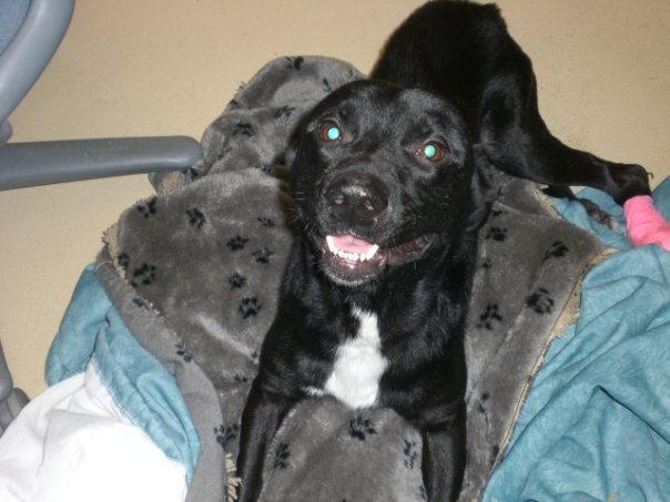 Timber smiling
