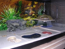 Conan's Tank