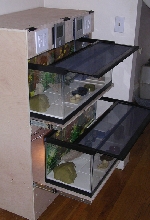 Pull Out Tanks