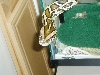 Mr Snake 2 yr old