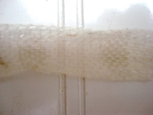 Hyposhed1