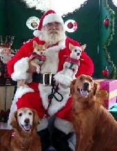 holiday 2004