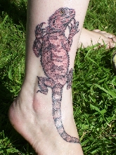 bearded dragon tattoo