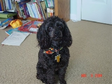 Sally