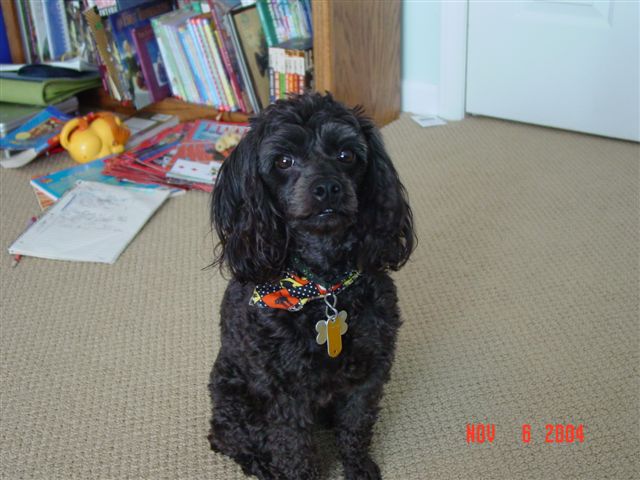 Sally
