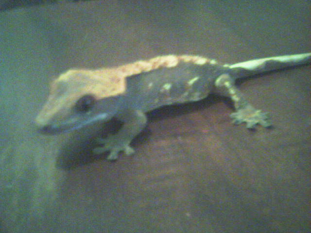 'Bitey' at 5 months