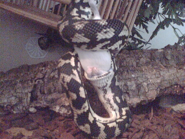 jasper having lunch