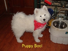 "Little Boy Boo"