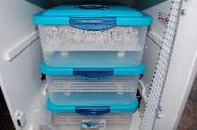 egg boxes