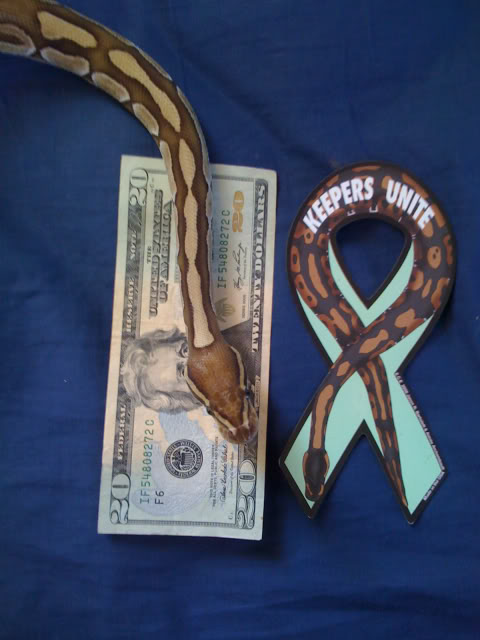parkay w/ ribbon