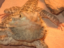 Posin for a pic