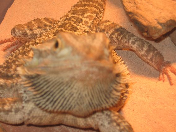 Posin for a pic
