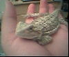 my girl on my hand