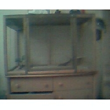 charleys cage