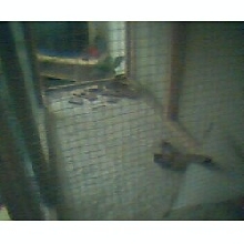 inside of charleys cage