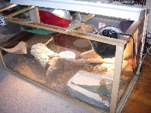 Cage angle 2