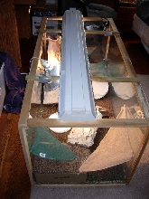 Cage angle 3