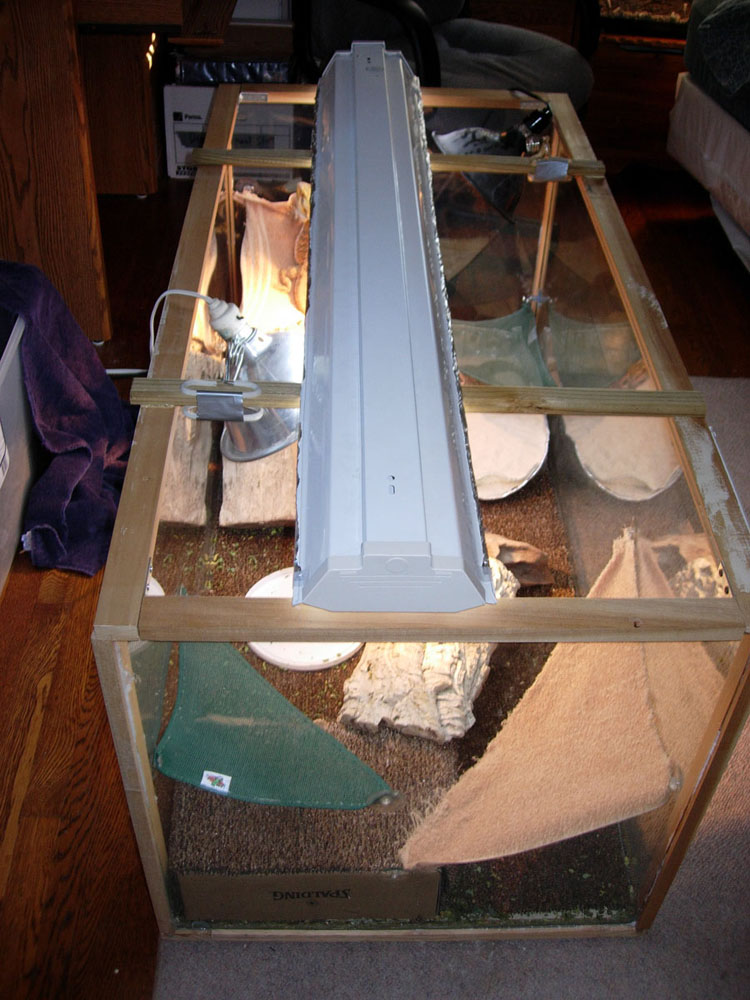 Cage angle 3