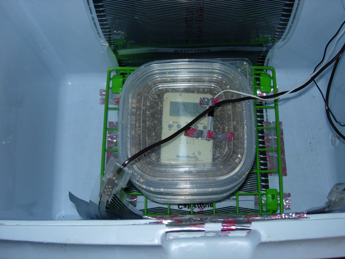 My home-made incubator angle 1