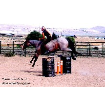 no tack needed here