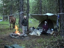 Fun things to do with your zebra...camping