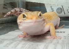 Nice Close up