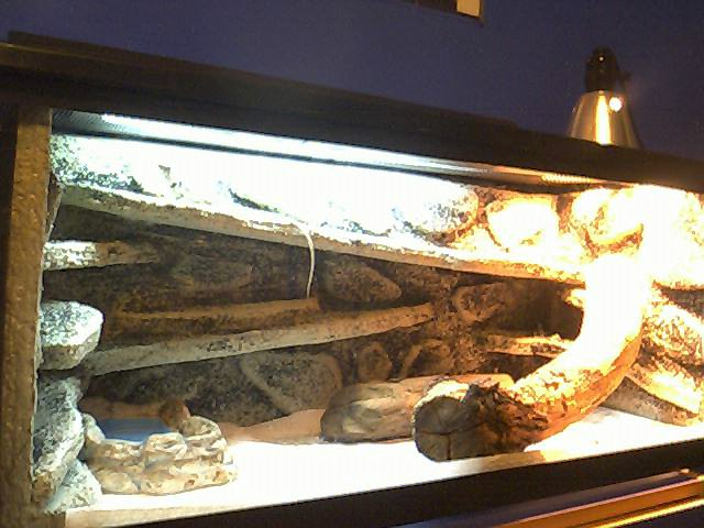 New tank