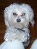 Sachi 12-11-05