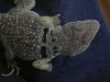 Millie's Feet
