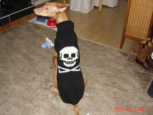 Punk
