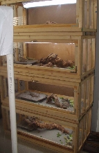 Home made cages