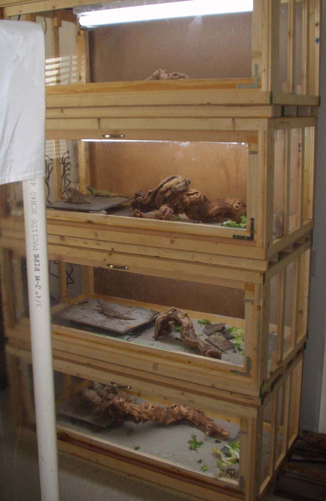 Home made cages