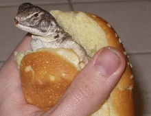 Yum.