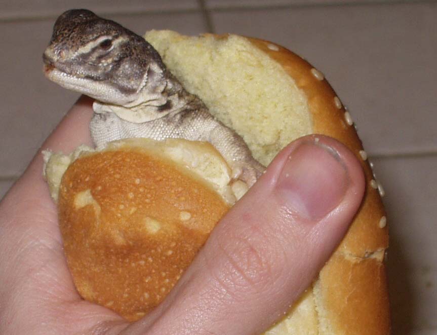 Yum.