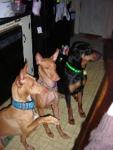 3 Amigos