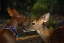 Nahla and Sonny 1
