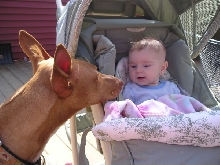 Another Gratuitous Lucie and PH Picture!