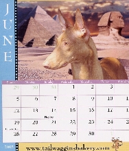 Calendar Girl