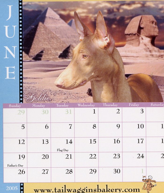 Calendar Girl