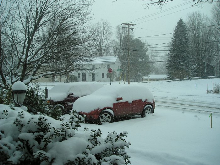 Snow 1