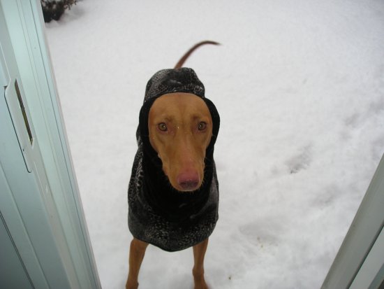 goldie snow