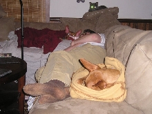 No Blanket for the Husband