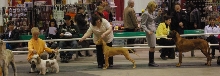 Spartan at 6 Months