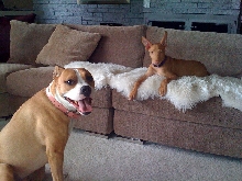 Aphina and Dashka 2