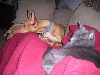 Who Says Cats and Pharaohs Can't Get Along?