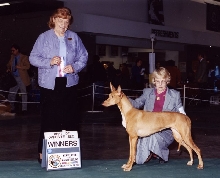 Fuji Show Picture
