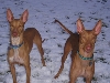 Yes, we can stand still.  But only for one second!
