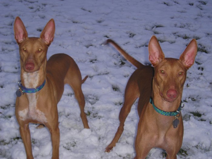 Yes, we can stand still.  But only for one second!