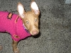 My favorite baby picture of Fuji