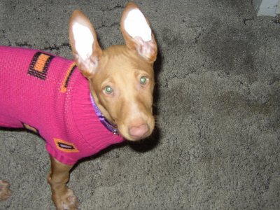 My favorite baby picture of Fuji
